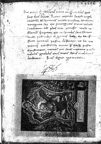 61